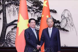 El presidente de Vietnam, Luong Cuong, se reunió con Zhao Leji, miembro del Comité Permanente del Buró Político y presidente del Comité Permanente de la Asamblea Popular Nacional de China. (Fuente: VNA)