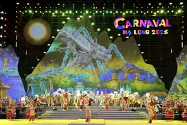 Una de las atuaciones artísticas en el Carnaval de Ha Long 2025. (Fuente: VNA)