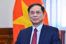 El vicepremier y canciller, Bui Thanh Son. (Fuente: VNA)