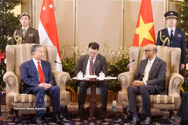 El secretario general del Partido Comunista y presidente de Vietnam, To Lam, sostiene conversaciones con el presidente singapurensa, Tharman Shanmugaratnam. (Fuente: VNA)