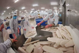 El mercado de Oriente Medio prioriza las exportaciones de pesca Tra (Pangasius) vietnamita que cumplen con los estándares Halal. (Fuente: VNA)