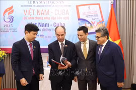 Delegados en el evento. (Fuente: VNA)