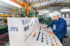 El Gobierno se ha marcado como objetivo gastar el 3% del presupuesto total en ciencia y tecnología para 2025 (Foto: VNA)