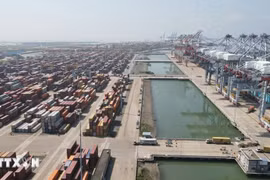 Un puerto marítimo dentro del sistema portuario de Cai Mep-Thi Vai, comuna de Phu My, provincia de Ba Ria-Vung Tau. (Foto: VNA)