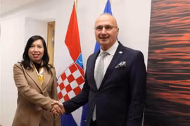 La viceministra de Relaciones Exteriores de Vietnam Le Thi Thu Hang y el canciller croata, Gordan Grlić Radman. (Fuente: VNA)