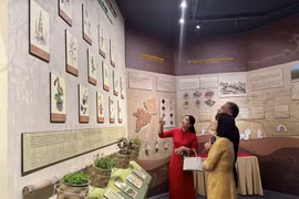 Visitantes en la exposición. (Fuente: VNA)