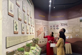 Visitantes en la exposición. (Fuente: VNA)