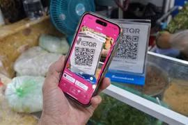 La gente realiza transferencias de dinero con la aplicación Momo. (Foto: VNA)