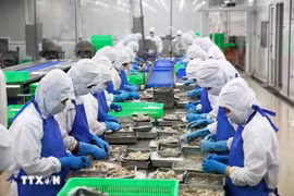 Línea de procesamiento de camarones para exportación en el distrito de Binh Chanh, Ciudad Ho Chi Minh. (Foto: VNA)