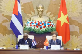 El presidente de la Asamblea Nacional (AN) de Vietnam, Tran Thanh Man, y el titular de la Asamblea Nacional del Poder Popular y del Consejo de Estado de Cuba, Esteban Lazo Hernández, copresidieron la segunda reunión del Comité de Cooperación Interparlamentaria entre los dos países. (Fuente: VNA)