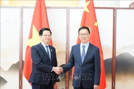 El viceprimer ministro vietnamita, Mai Van Chinh, se reunió con el subjefe del Estado chino Han Zheng. (Fuente: VNA)