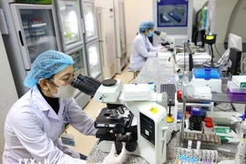 Investigación científica en el Hospital Nacional de Endocrinología. (Foto: VNA)