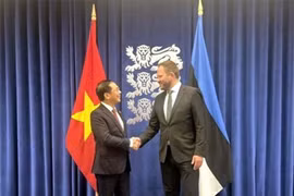 El viceprimer ministro y canciller de Vietnam, Bui Thanh Son, y el titular de Asuntos Exteriores de Estonia, Margus Tsahkna. (Fuente: VNA)