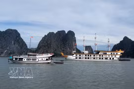 Mantienen cerrada temporalmente playa de Soi Sim en Bahía de Ha Long. (Fuente: VNA)