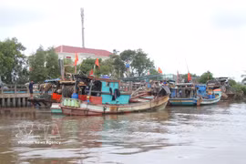 Los barcos fondean en el estuario de Ganh Hao (comuna de Ganh Hao, provincia de Ca Mau). (Foto: VNA)