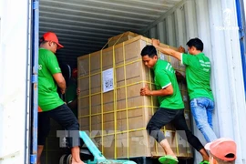 Personal de Sokfarm prepara el envío de exportación a EE.UU. (Foto: VNA)
