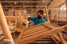 Producción de sillas para exportación. (Fuente: VNA)