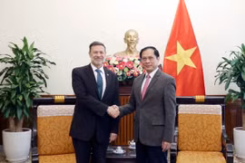 El viceprimer ministro y canciller de Vietnam, Bui Thanh Son (derecha), recibió al saliente embajador de Australia en el país, Andrew Goledzinowski. (Fuente: VNA)
