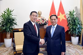 El viceprimer ministro y canciller de Vietnam, Bui Thanh Son, recibe a Tanaka Yu, vicepresidente del Presídium y jefe interino de la Secretariado del Comité Central del PCJ. (Fuente: VNA)