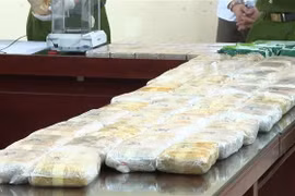 Gran cantidad de droga incautada. (Foto: VNA)