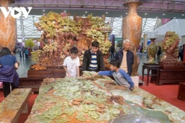 “El mundo de las piedras preciosas” deslumbra en la Feria de Primavera 2026