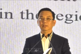 El vicepresidente de VUFO, Dong Huy Cuong, habla en el evento. (Fuente: VNA)