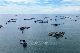 Modelo de cultivo de mariscos en jaulas en Ninh Thuan. (Foto: VNA)