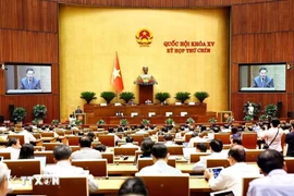 Panorama de la reunión. (Fuente: VNA)