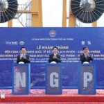 Presidente vietnamita asiste a inauguración de muelles de contenedores internacionales en Hai Phong