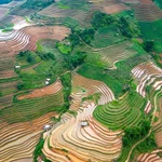 Mu Cang Chai ofrece paisajes únicos durante la temporada de riego 