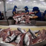 Estados Unidos mantiene en cero arancel antidumping para el pescado vietnamita 