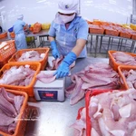 Navico, gigante vietnamita en la producción y exportación de pangasius 