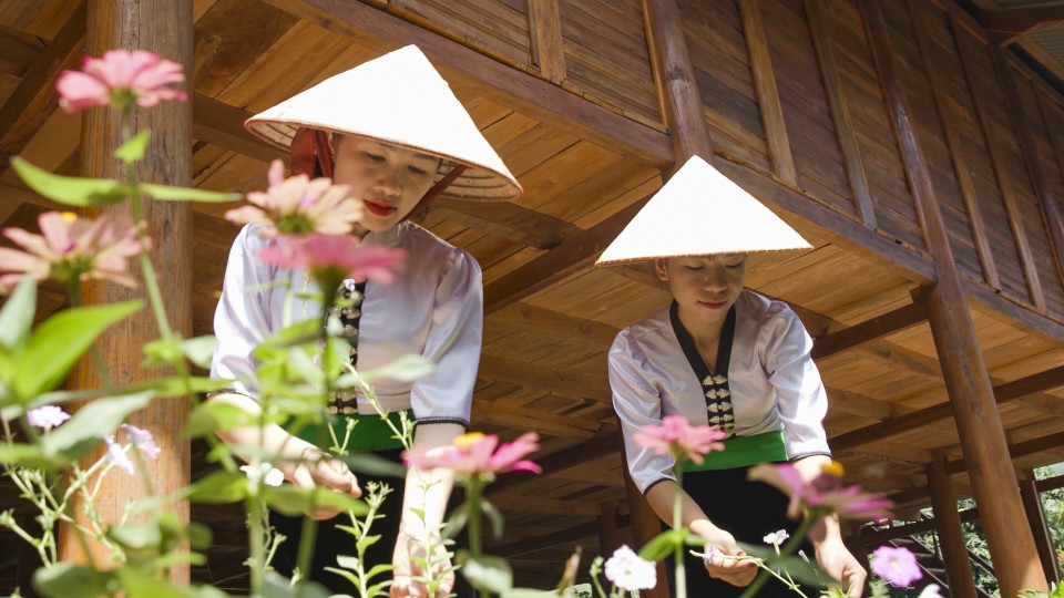 Mujeres de la minoría étnica Thai Blanca cuidan las flores para crear paisajes ambientales en la aldea turística comunitaria de Na Su. (Fuente:VNA)