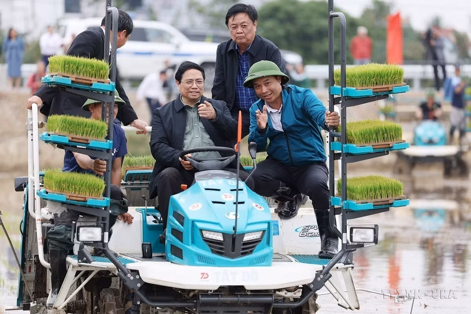 El primer ministro Pham Minh Chinh y agricultores del distrito de Ninh Giang, provincia norteña de Hai Duong utilizaron un vehículo de motor para sembrar plántulas en la cosecha de invierno-primavera por la tarde del 15 de febrero de 2024. (Fuente: VNA)