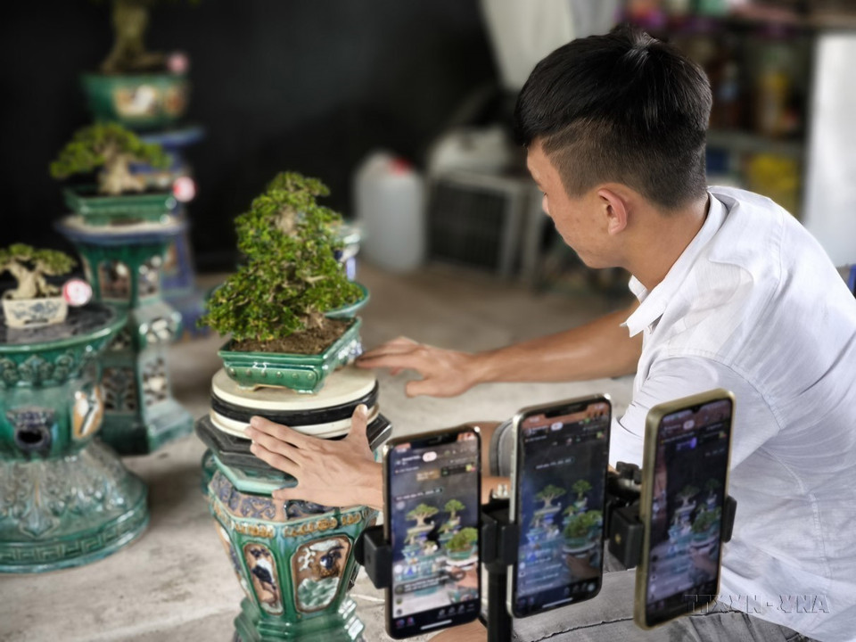 Además de consumir productos agrícolas a través de canales tradicionales o cooperación empresarial, los agricultores de la provincia sureña de Ben Tre han aplicado recientemente el comercio electrónico para conectar con el mercado, lo que les brinda mejores ingresos. (Fuente: VNA)