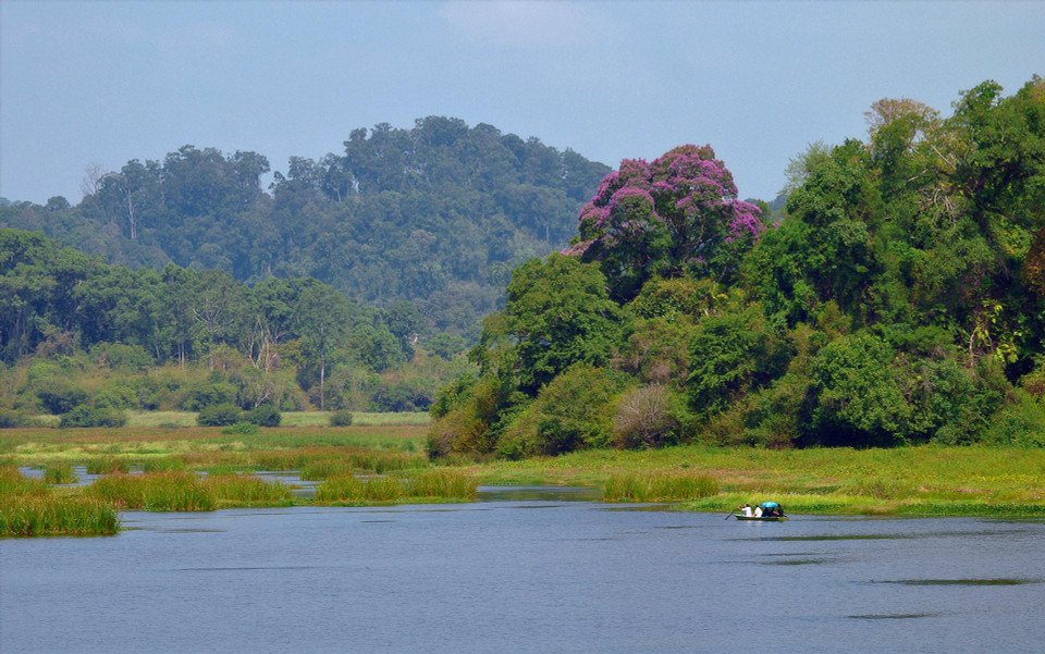La Unión Internacional para la Conservación de la Naturaleza añadió en junio pasado el Parque Nacional de Cat Tien, en el Sur de Vietnam, a su Lista Verde de Áreas Protegidas y Conservadas. Este es un gran avance en la conservación de la naturaleza y la biodiversidad en el país indochino. (Fuente:VNA)
