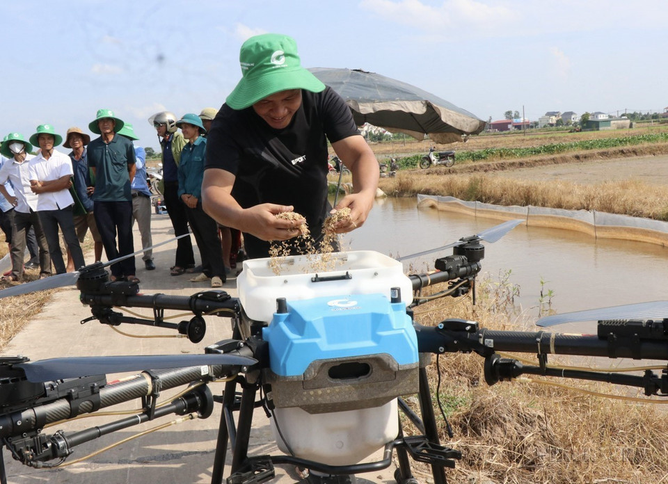 Agricultores de Bac Ninh se preparan para sembrar semillas de arroz utilizando drones. (Fuente: VNA)