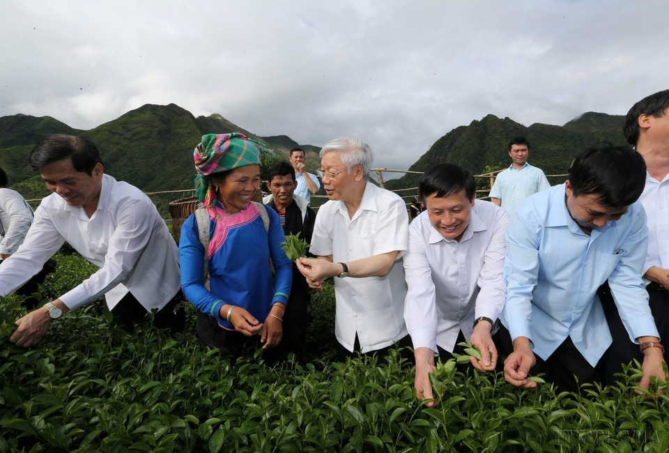 El secretario general del Partido Comunista de Vietnam, Nguyen Phu Trong, visitó el 14 de julio de 2016 el modelo de producción intensiva de té VIETGAP en el distrito de Tam Duong, provincia norteña de Lai Chau. (Fuente: VNA)
