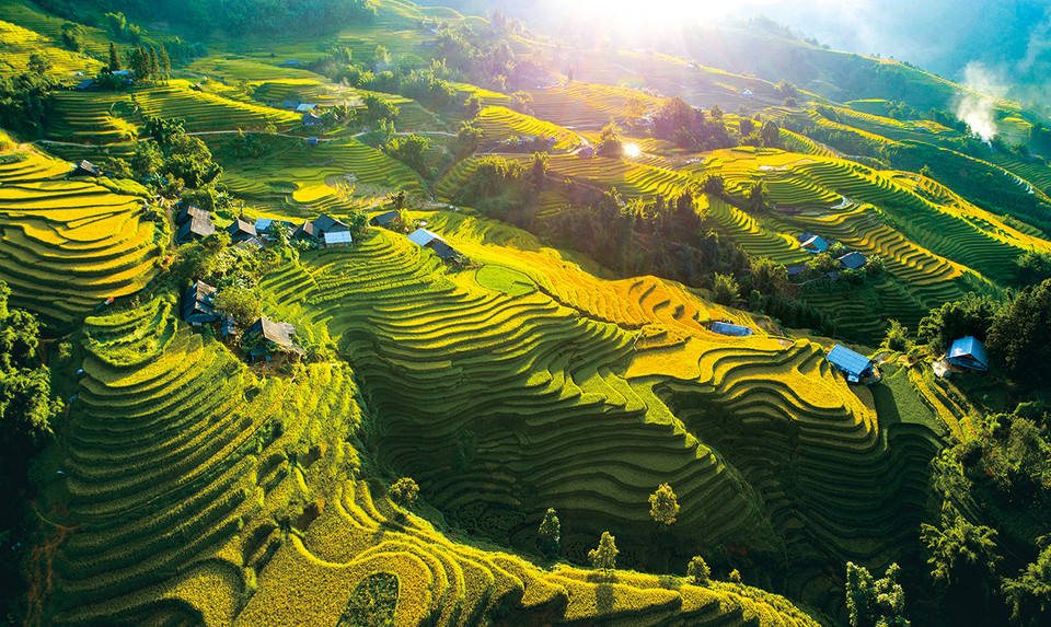 Las terrazas del arroz en Sa Pa. Foto: Pham Bang