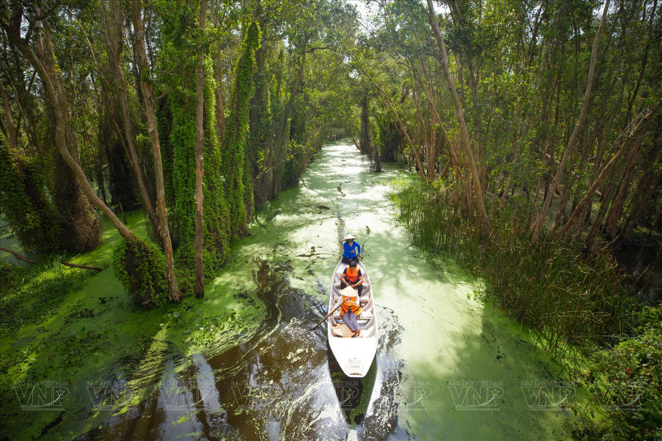 Los turistas experimentan la vida fluvial y la naturaleza prístina en la aldea flotante de Tan Lap. (Foto: VNA)