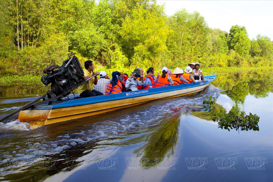 Los turistas toman un paseo en bote entre canales llenos de nenúfares para visitar el bosque primitivo de cajuput. (Foto: VNA)