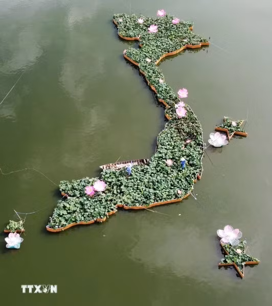 Mapa de Vietnam formado a partir de cinco mil macetas de loto visto desde arriba. (Foto: VNA)