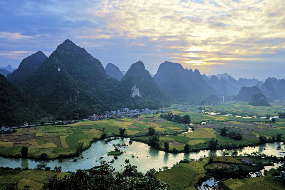 Campos de arroz maduros en la comuna de Phong Nam a primera hora de la mañana.(Fuente: Revista Vietnam)