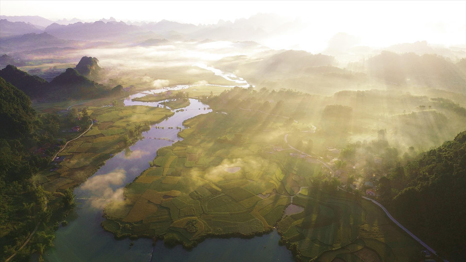 Los campos cosechados se intercalan con los de arroz maduro en la comuna de Phong Nam. (Fuente: Revista Vietnam)