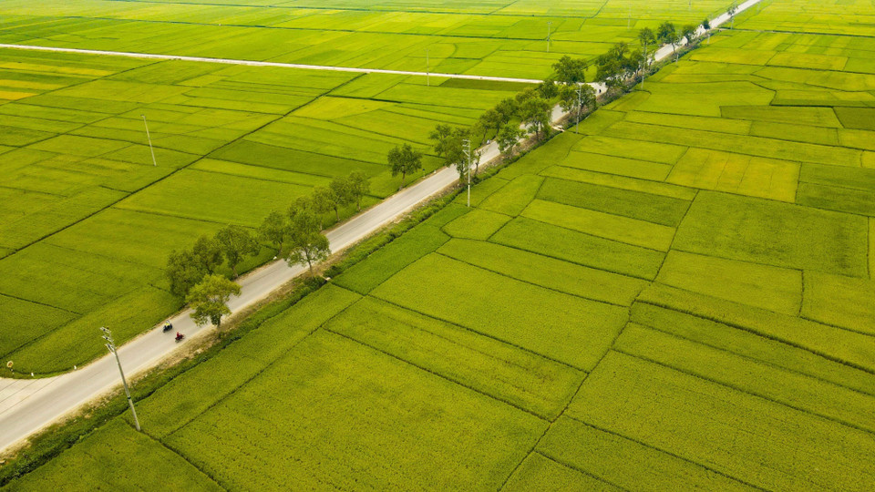 La autopista 279 discurre por el campo Muong Thanh. (Fuente:VNA)