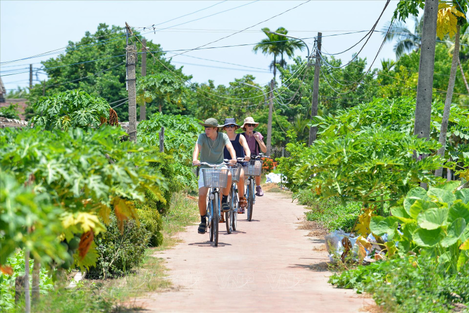 Los visitantes andan en bicicleta y pasean por pequeños caminos que se entrelazan entre los huertos de vegetales frescos. (Foto: VNA)