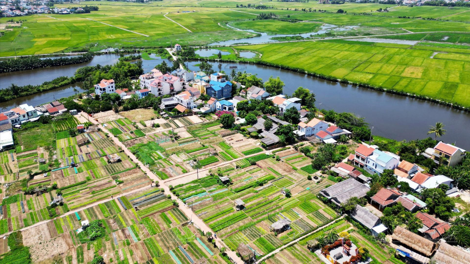 La zona de cultivo de Tra Que se ubica en un área tranquila al lado del río de De Vong (Foto: VNA)