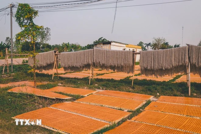 Actualmente, la aldea de Cu Da tiene entre 17 y 18 hogares que producen fideos, mucho menos en comparación con la cifra de alrededor de 100 molinos de fideos en los años anteriores. (Foto: VNA)