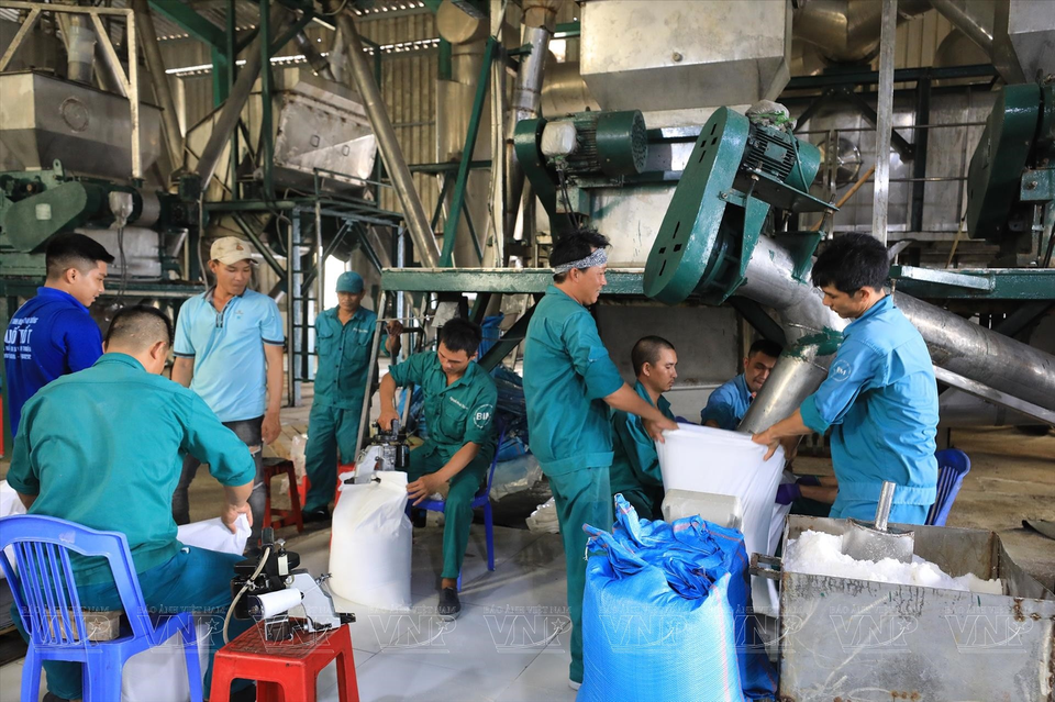 Trabajadores se encuentran en el proceso de envasar sal en sacos para venderla en el mercado. (Fuente:VNA)