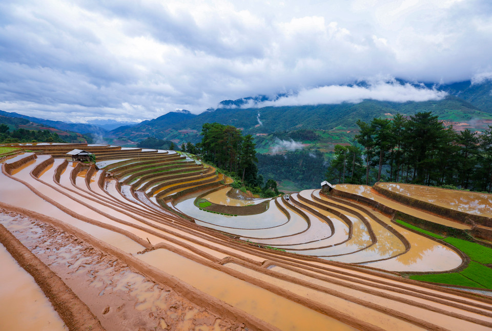 Los vastos bancales de arroz durante la temporada de lluvia fueron creados aquí por el pueblo de la étnia Mong. Foto: Tuan Anh/VNA